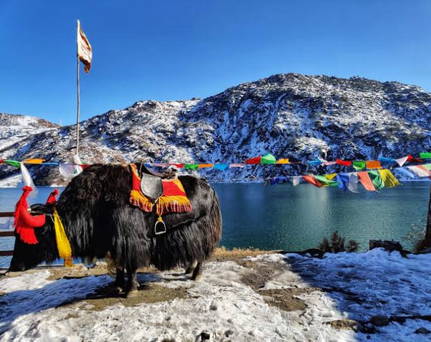 manali1